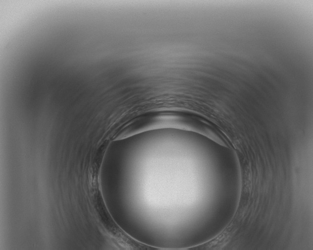 X0000060580176200511101705