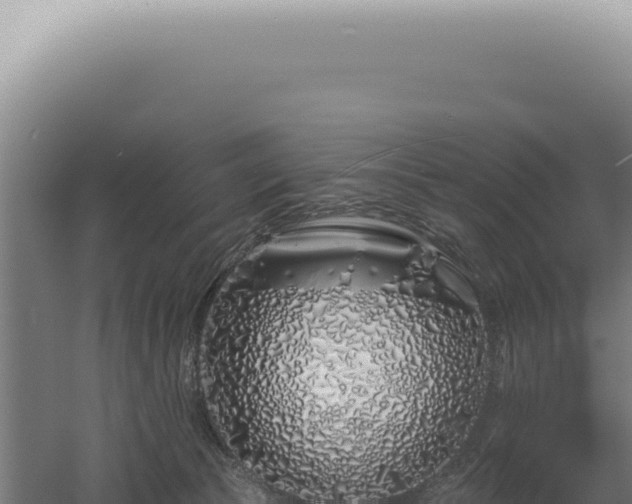 X0000060580177200511101705