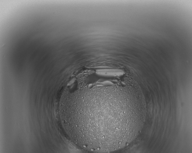 X0000060580181200511101705