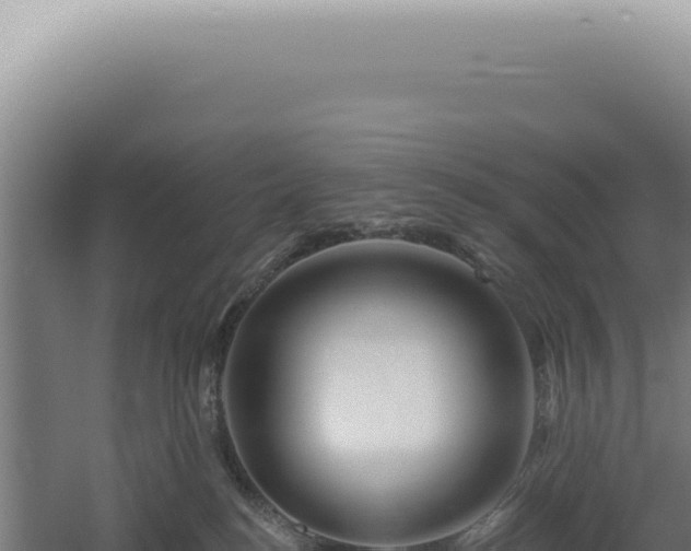 X0000060580184200511101705