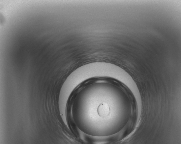 X0000060580186200511101706