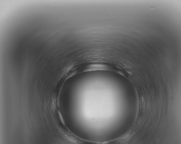 X0000060580188200511101706