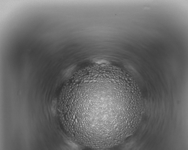 X0000060580189200511101706