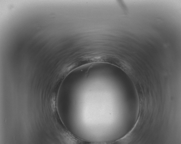 X0000060580190200511101706