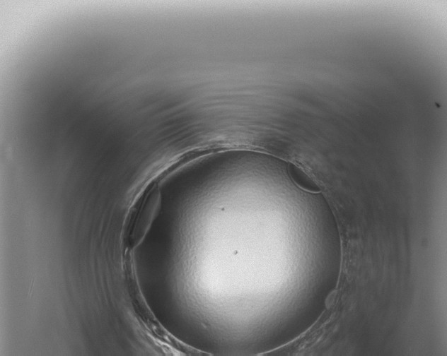 X0000060580194200511101705