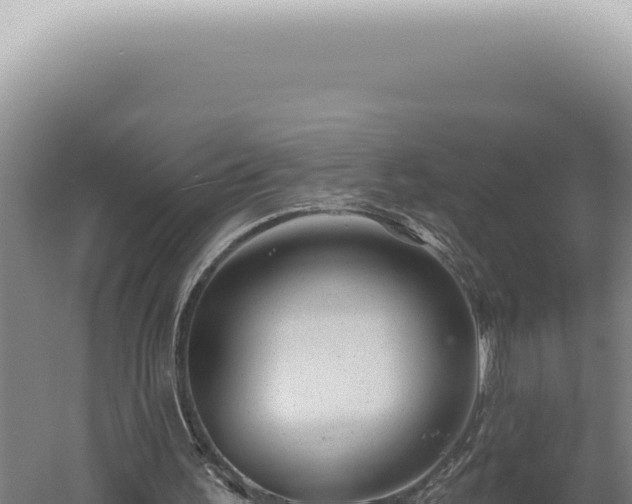 X0000060580195200511101705