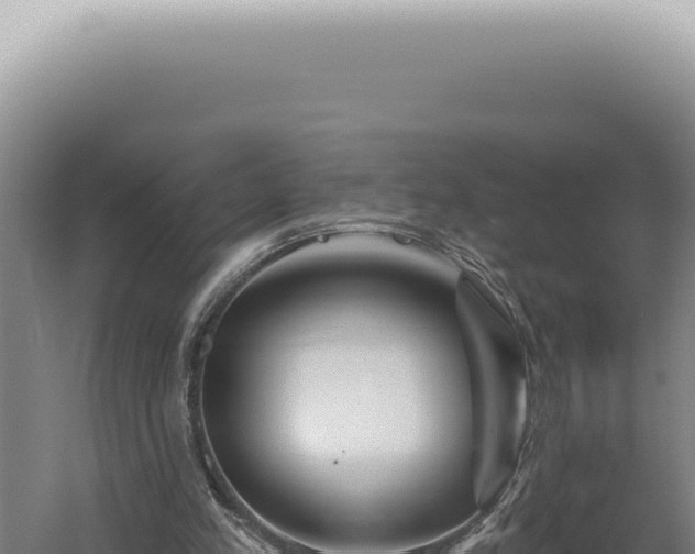 X0000060580197200511101705