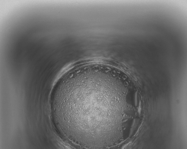 X0000060580198200511101705