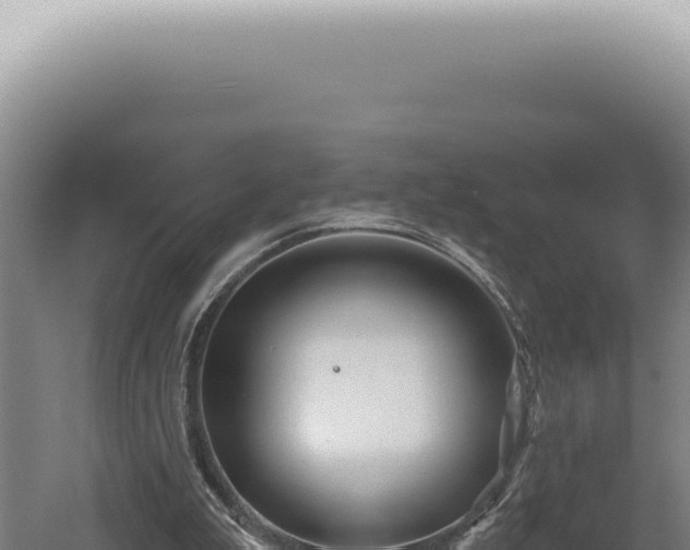 X0000060580199200511101705