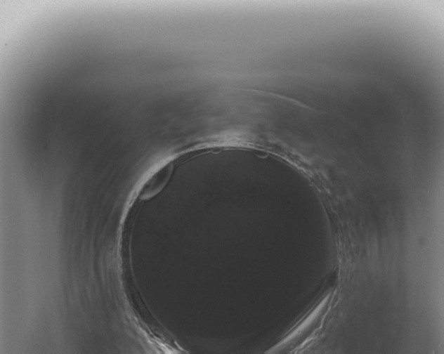 X0000060580200200511101705