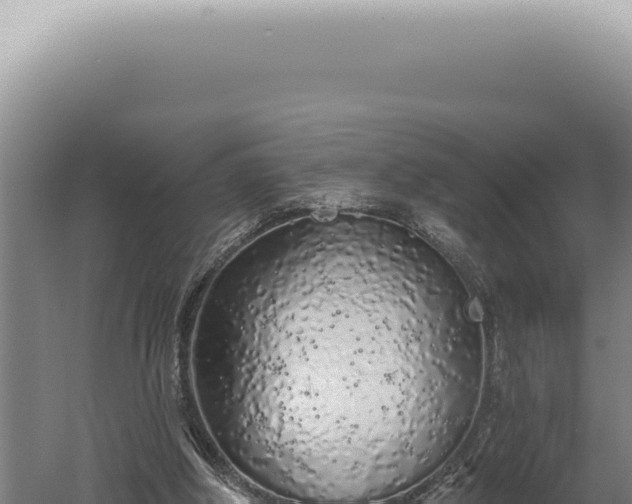 X0000060580202200511101705