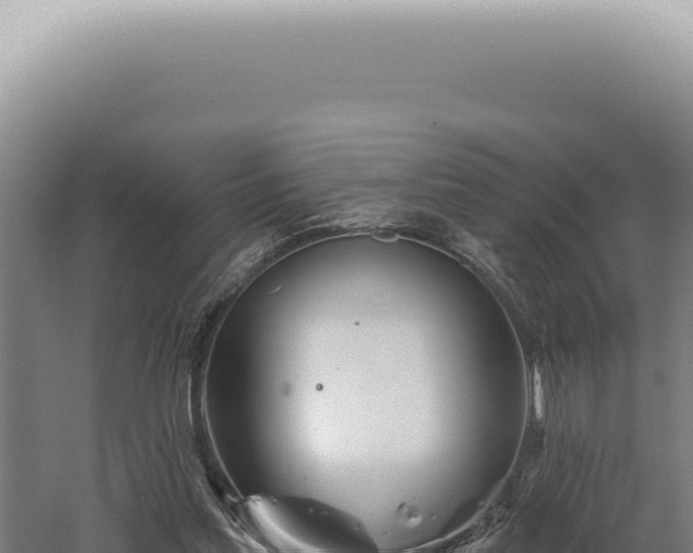 X0000060580205200511101705