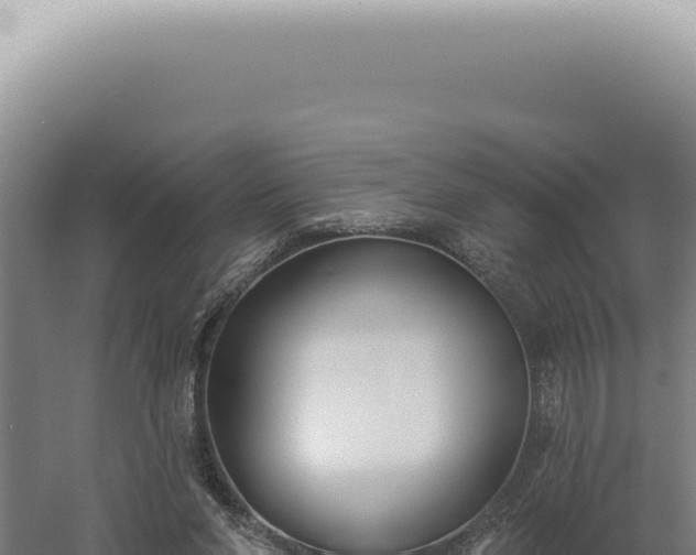 X0000060580206200511101705