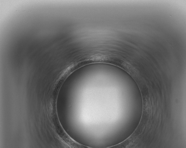 X0000060580208200511101705