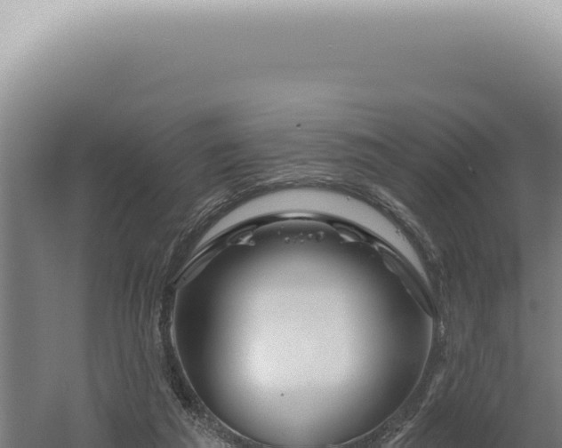 X0000060580209200511101705