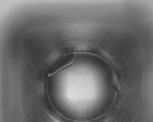 X0000060580211200511101704