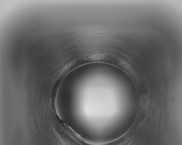 X0000060580212200511101704