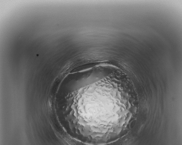 X0000060580214200511101704