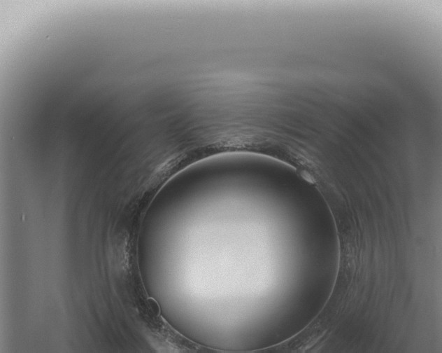 X0000060580216200511101704