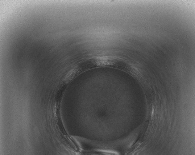 X0000060580219200511101704