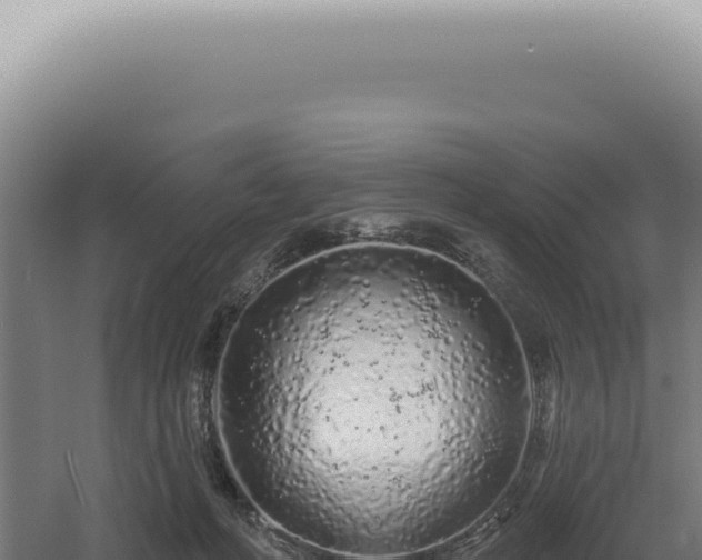 X0000060580222200511101704