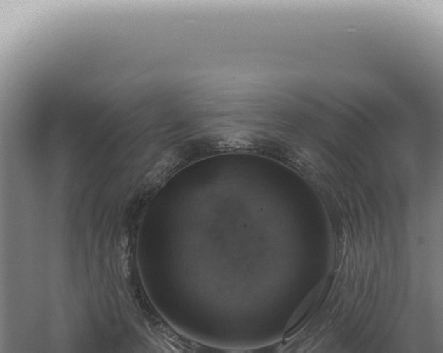 X0000060580223200511101704