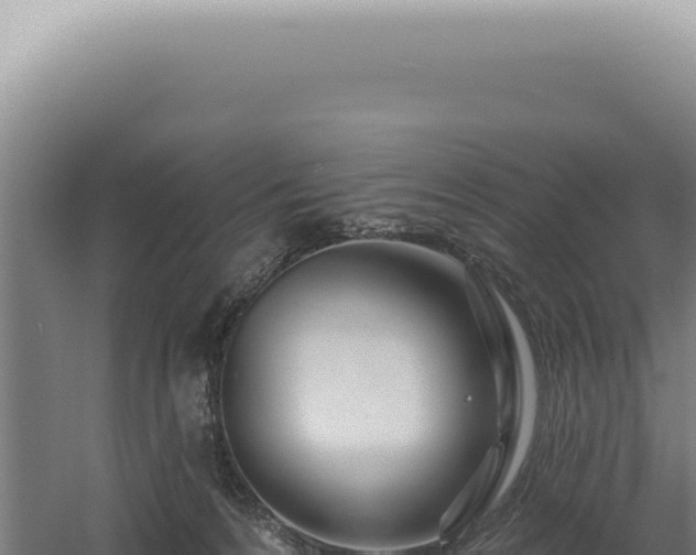 X0000060580224200511101704