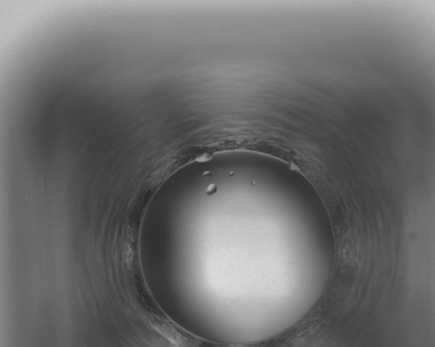 X0000060580226200511101704