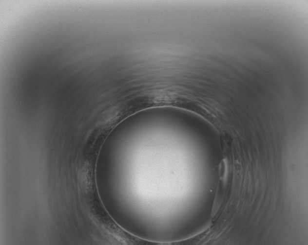 X0000060580228200511101704