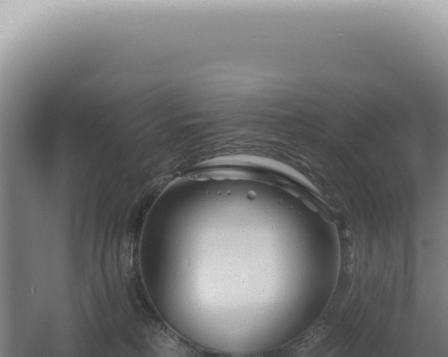 X0000060580230200511101704