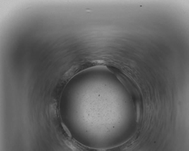 X0000060580231200511101704