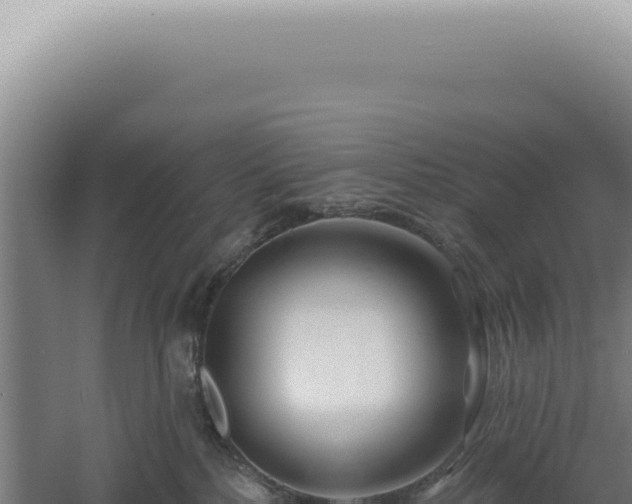 X0000060580232200511101704