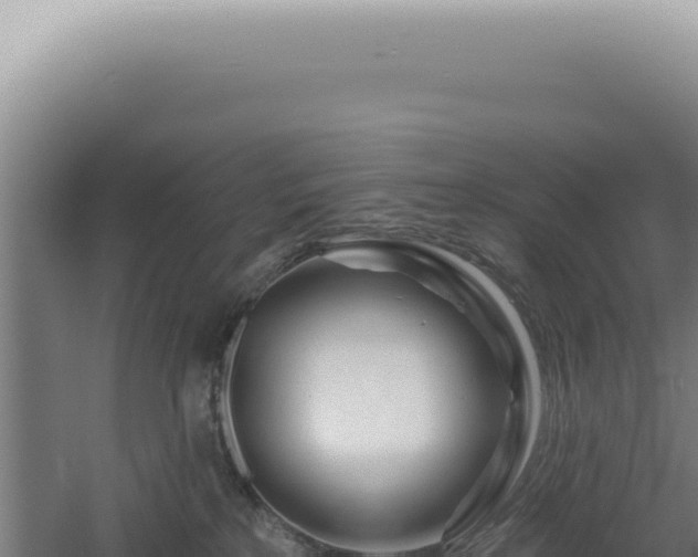 X0000060580233200511101704