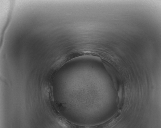 X0000060580235200511101704