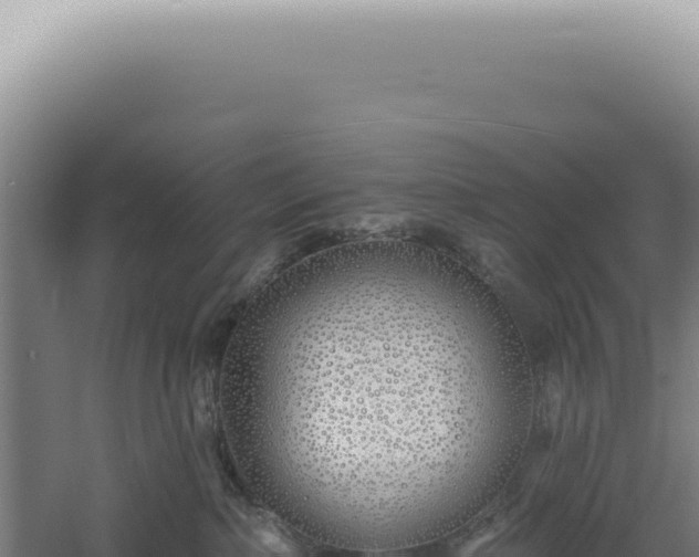 X0000060580236200511101704