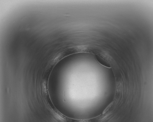 X0000060580238200511101704