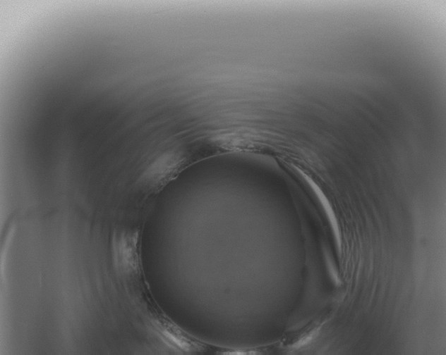 X0000060580239200511101704