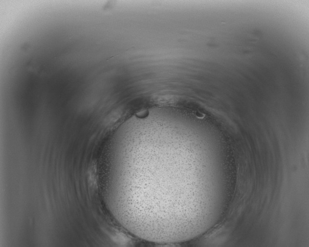 X0000060580240200511101704