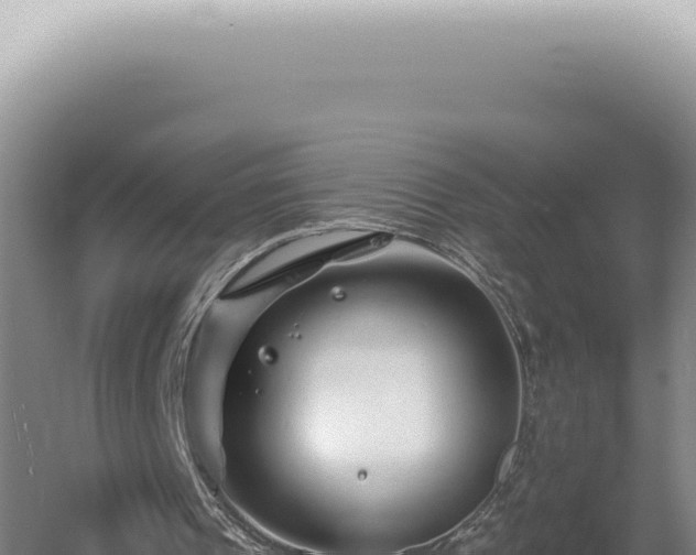 X0000060580241200511101703