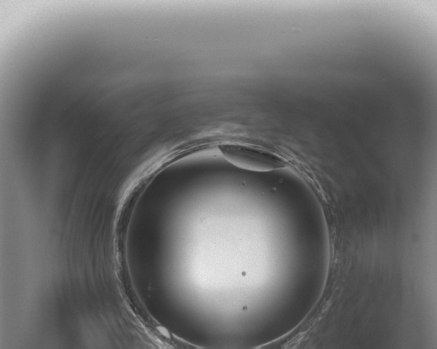 X0000060580245200511101703