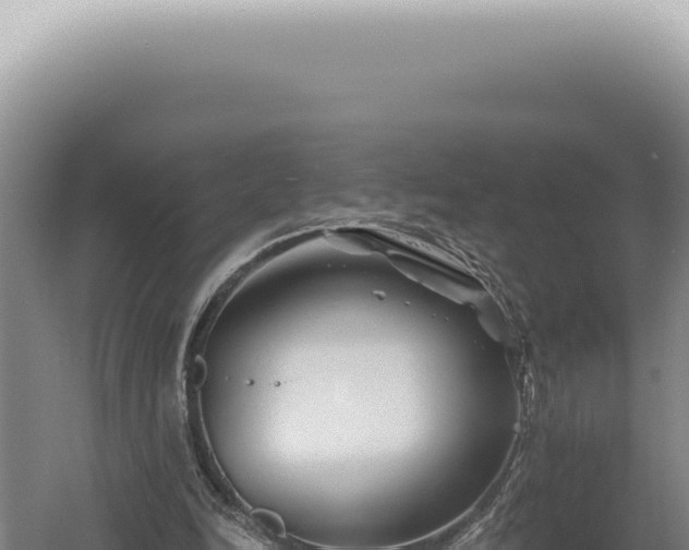 X0000060580246200511101703