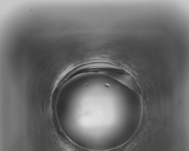 X0000060580248200511101703