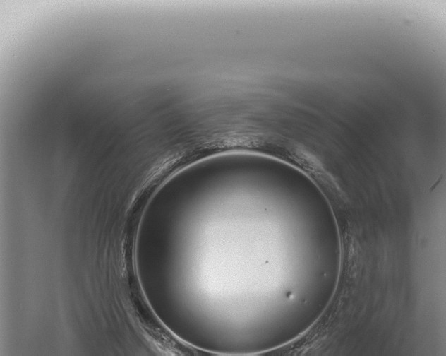 X0000060580250200511101703