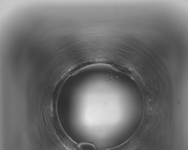 X0000060580251200511101703