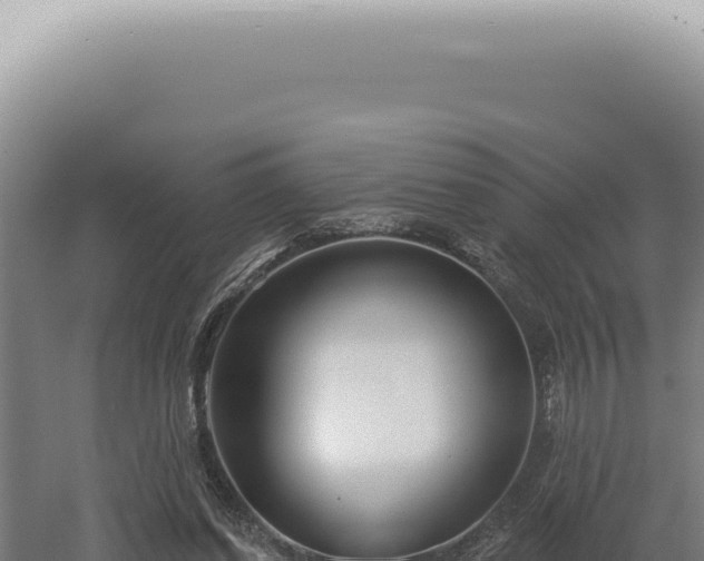 X0000060580254200511101703