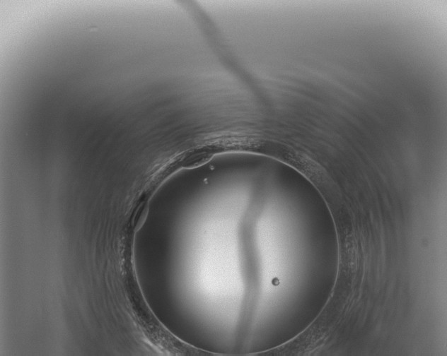 X0000060580255200511101703