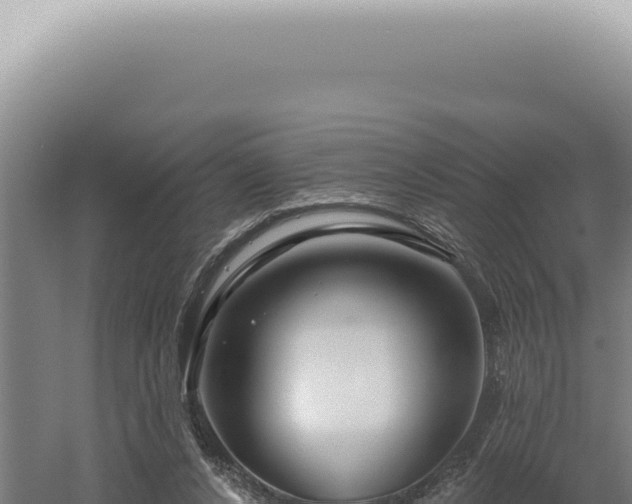 X0000060580256200511101703