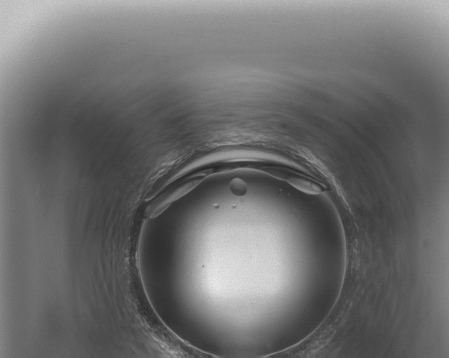 X0000060580257200511101703