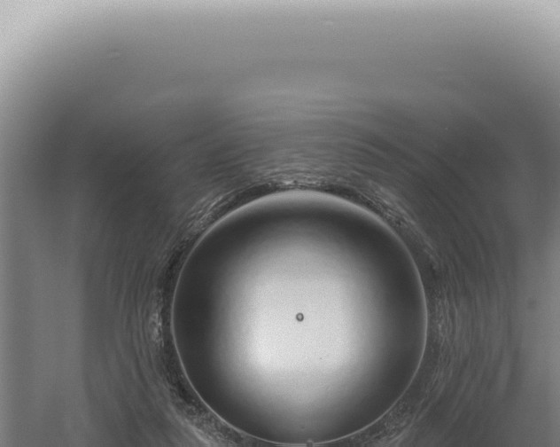 X0000060580259200511101703