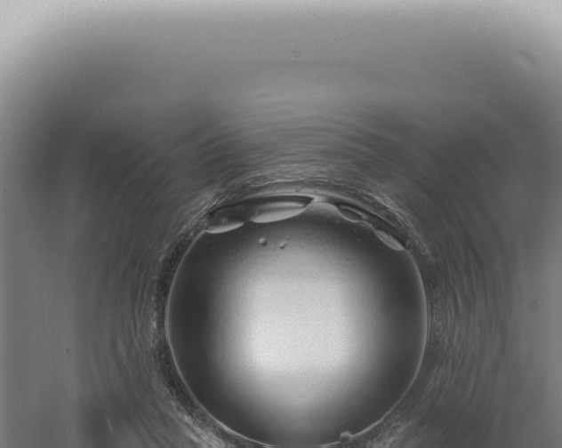 X0000060580261200511101704